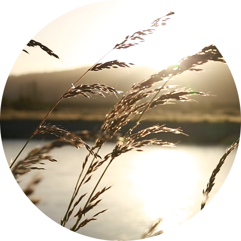 שינוי הנשימה הטבעית